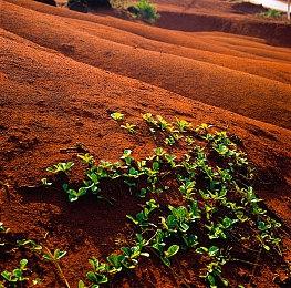 彭博社：腾讯和吉列莫特家族正考虑成立新合资企业 包含部分育碧资产